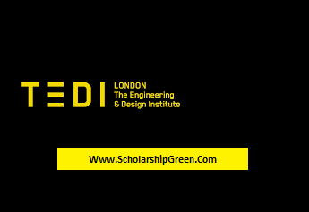 TEDI London International Excellence Scholarship 2024